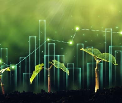 The grid, the growth and the game plan